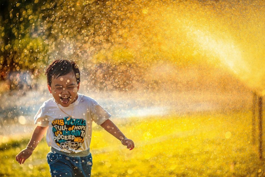 La felicidad se cultiva